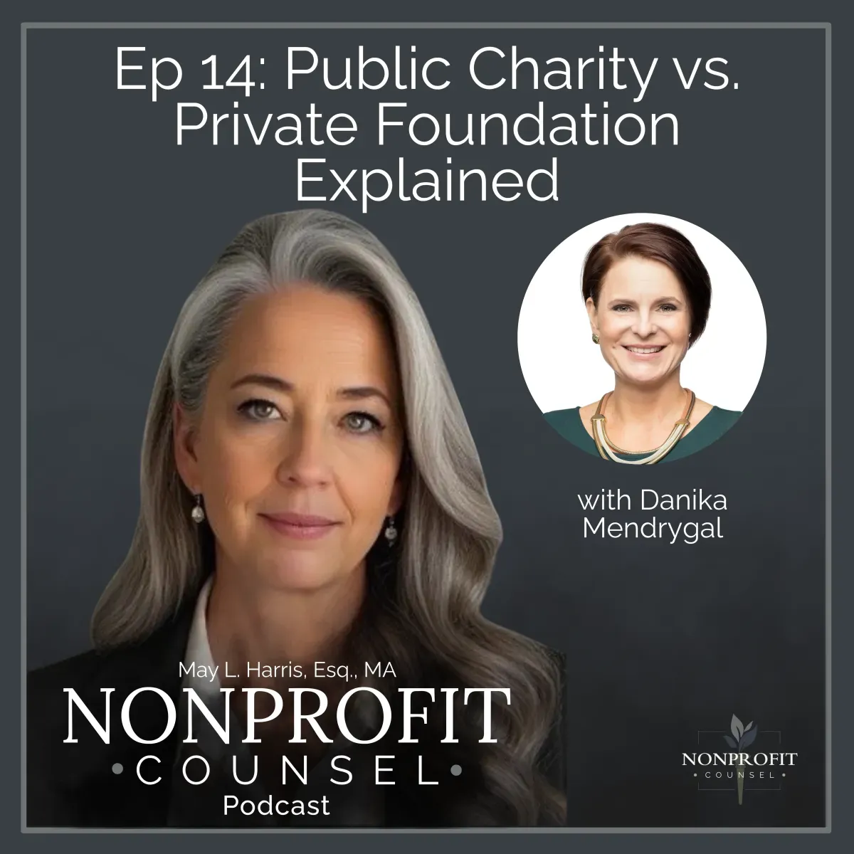Charities vs Private Foundations: Key Differences Nonprofits Must Know